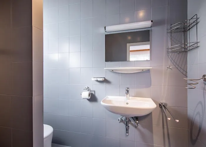 Rettenbacher 斯拉德明